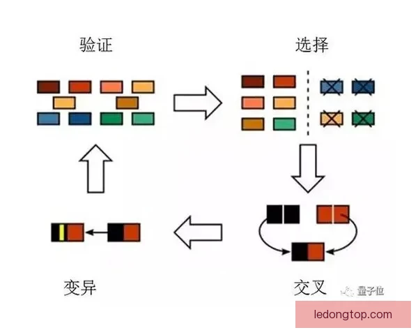 世界杯竞猜赔率深度解析与热门球队胜负走势全面分析